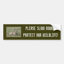 A0007 Baby Pronghorn Antelope Bumper Stickers