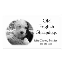 A001 BIZ - Old English Sheepdog Business Cards