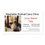 A010 BIZ - Veterinarian and Animal Care Services Business Card Templates