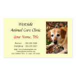 A012 BIZ - Veterinarian and Animal Care Services Business Card Templates