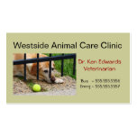 A013 BIZ - Dog Daycare, Sitters and Veterinarians Business Cards