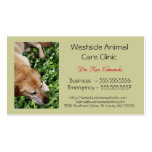 A014 BIZ - Veterinarian and Animal Care Services Business Card Template