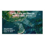 A021 BIZ - Turtle Farms and Rescue Business Cards
