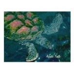 A021 Postcard -  Aquatic Turtle on a Turtle Farm