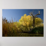 a3532 - Owens River near Lone Pine Posters