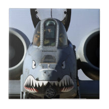 A 10 Warthog Ceramic Tiles