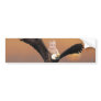 A baby and eagle sky bumper sticker