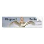 A baby and the swan sky bumper sticker