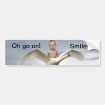 A baby and the swan sky bumper sticker