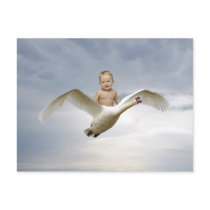 A baby and the swan sky postcards