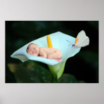A baby and water lily flower print