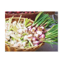 A basket of GARLIC - Naples, Italy Postcards