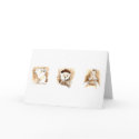 A Bearrry Merry Christmas! cards