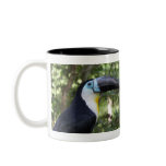 A Beautiful Toucan Photo Coffee Mugs