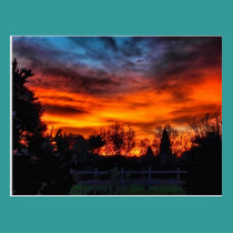 A beautiful winter sunset postcards