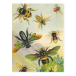 A Bevy of Beautiful Bees Postcards