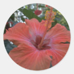 A Big Pink Flower Round Stickers