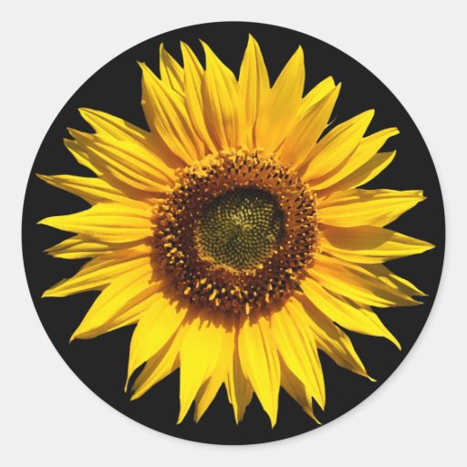 A Big Yellow Sunflower Stickers