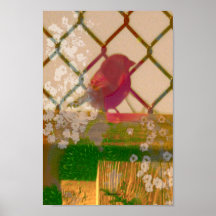 a biird posters