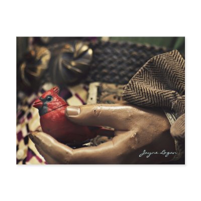 A Bird in the Hand, Postcard (Digital Colour Photo by JayneLogan