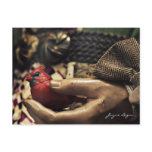 A Bird in the Hand, Postcard (Digital Colour Photo