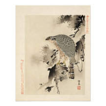 A bird-of-prey photoprint