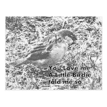A birdie said you love me postcard