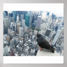 A Bird's Eye View Posters