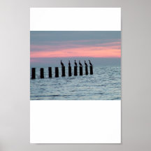 "A Bird's Eye View" Print