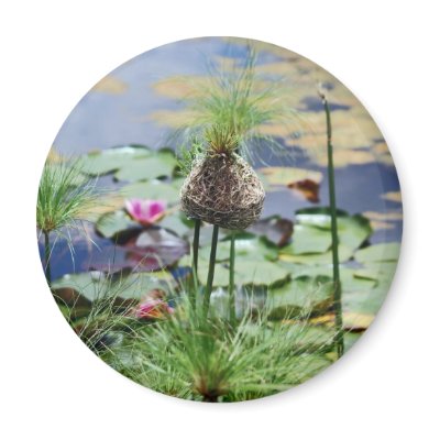 A Birds Nest Magnets by TheScenicRoute