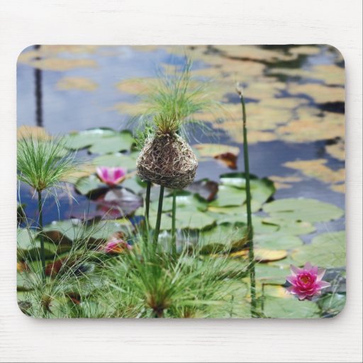 A Birds Nest Mousepad