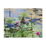 A Birds Nest Post Cards