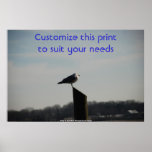 A Birds Serenity In The Evening Hours Posters