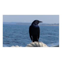 A Black Bird on the Ferry Business Card Templates