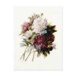 A Bouquet Of Peonies by Pierre-Joseph Redouté Post Cards