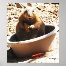 A Bowl Of Groundhog And Veggies Print