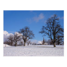 A bright winter day postcard
