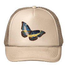 A butterfly bonés