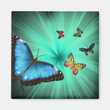 A Butterflys Journey Refrigerator Magnets