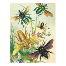 A Buzz of Beautiful Bees Postcards