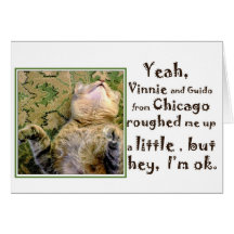 A Card for all cat lovers who like a little humor