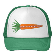 A Carrot for Christmas Reindeer Festive Hat