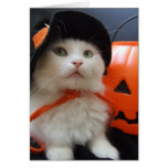 A Cat's Halloween Greeting Cards