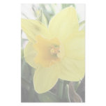 A Cheerful Yellow Daffodil Stationery Paper