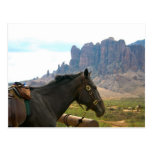 À cheval carte postale