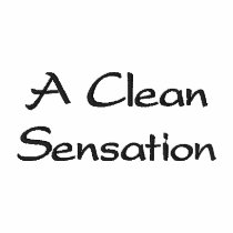 A Clean Sensation Embroidered Polo Shirt