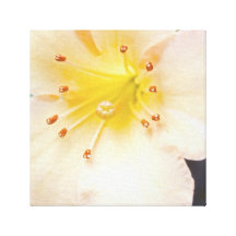 "A  Close Up of a Lily", Colour, Canvas Prints