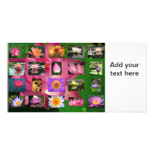 A Collage of Beautiful Water Lily and Lotus Images Picture Card