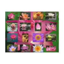 A Collage of Beautiful Water Lily and Lotus Images Post Cards