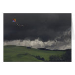 A colourful rainbow kite drifts cheerfully greeting cards